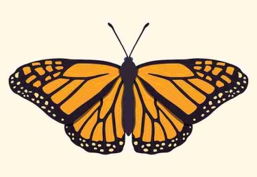 51爆料冷启动：小瓜如何引爆全网？