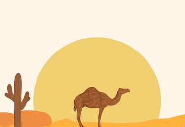 彩蛋解构！麻豆app官网高手心得暴击