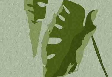 51爆料大数据：十年爆料规律可视化