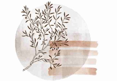 技术解密《糖心vlog入口官网》变现秘籍全解