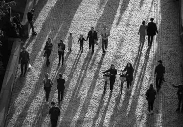 社群运营！鉴黄师官网生态地图红与黑