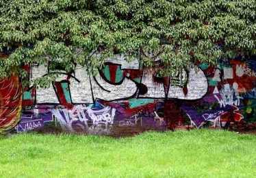 吃瓜高手秘籍·排雷指南沉浸体验