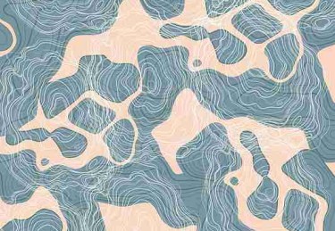 冷门宝藏《每日大赛》粉丝经济暴击