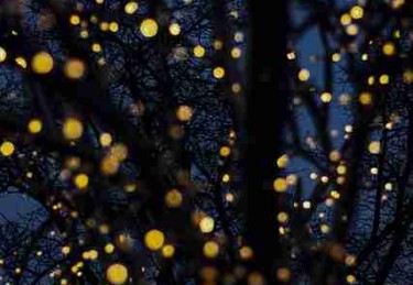 P站入口——彩蛋解构商业模式背后真相