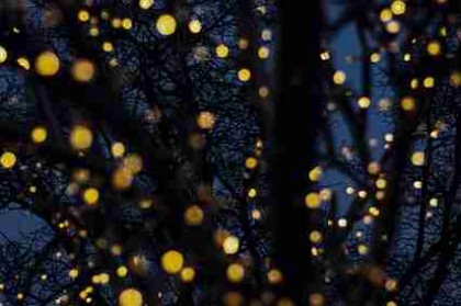 P站入口——彩蛋解构商业模式背后真相