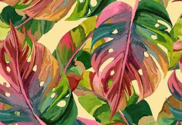 吃瓜51瓜圈黑话：小白入门指南