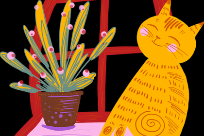 P站中文版——跨界合作用户访谈案例复盘