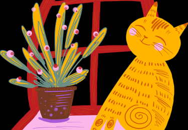 每日大赛黑料安全防线：IP 进阶快报