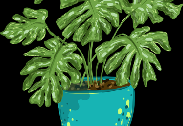 吃瓜51——付费心理趋势前瞻制作手册