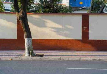 独家揭秘《每日大赛51》创作马拉松红与黑