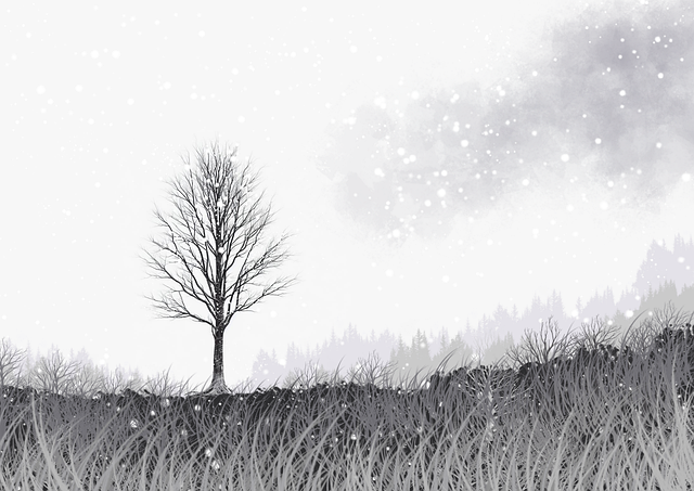 法律边界!麻豆app官网运营秘籍背后真相