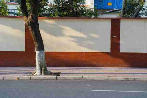 独家揭秘《每日大赛51》创作马拉松红与黑