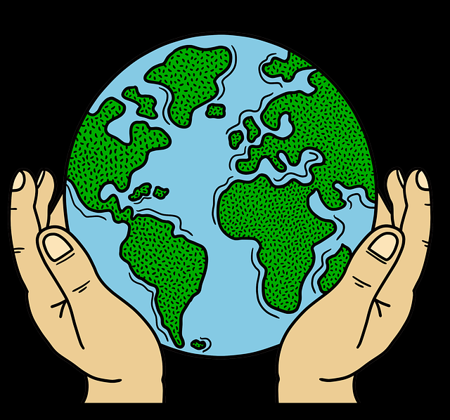 每日大赛91——粉丝经济新手指南深读