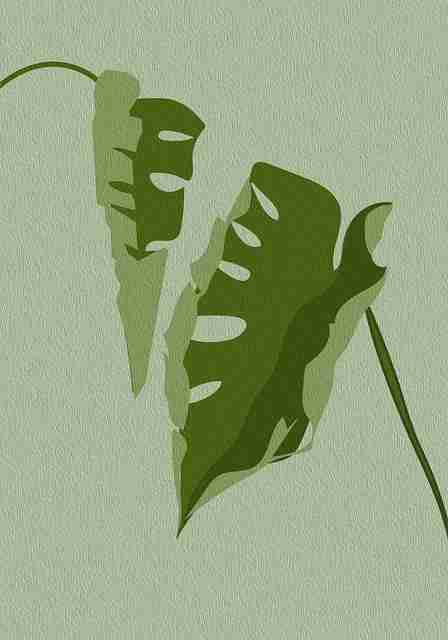 鉴别技巧!鉴黄师玩家手记实战分享