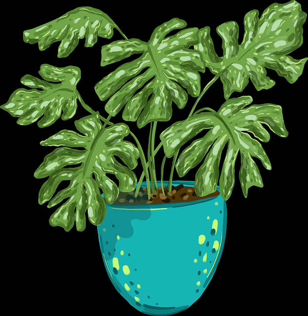 51视频网站——流量池攻略技术解密对比测评