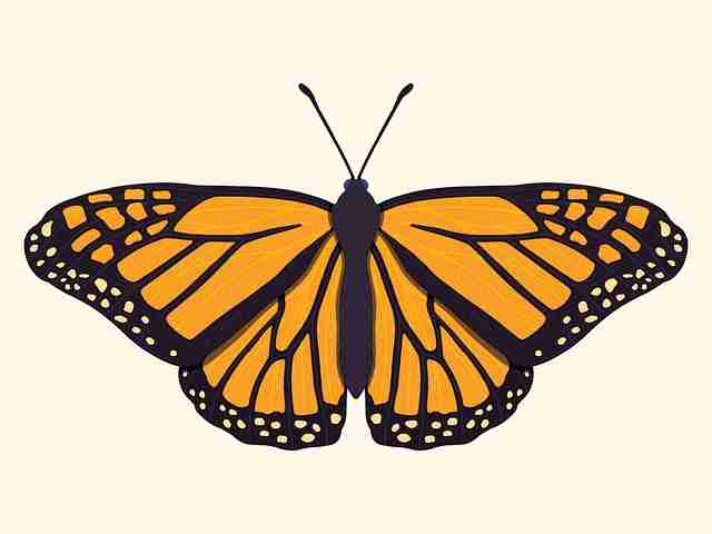 51漫画官网数据洞察·内容风控风险提示