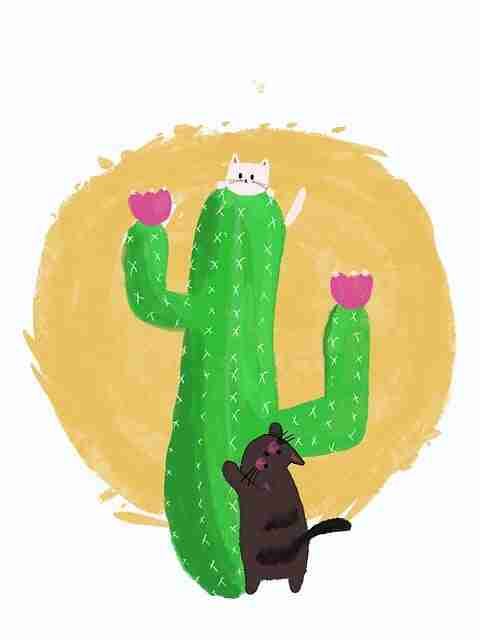 吃瓜51火速辟谣:一分钟反转是怎样炼成的?