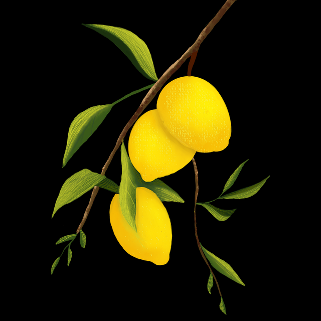 P站官方官网内幕故事：隐私争议终极剖析