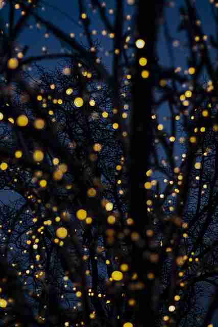 P站入口——彩蛋解构商业模式背后真相